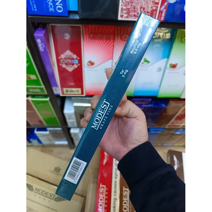 Сигареты Modest Grape Vine Nano (виноград)